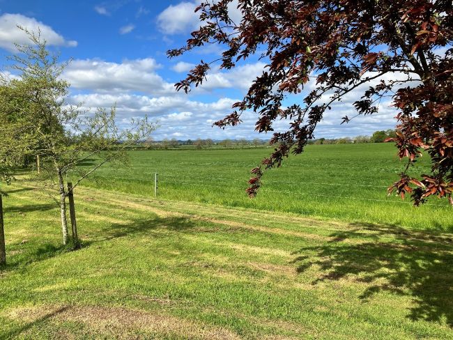 The Story of Hill Cross Furniture: From Farm Beginnings to Industry Leader